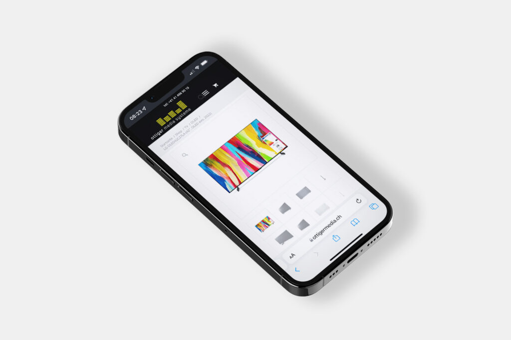 Ottiger Media Systeme AG